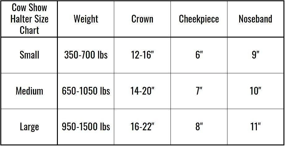Derby Originals Premium Round Rolled Leather Cattle Show Halter & Chain Lead, Black 2 Derby Originals Premium Round Rolled Leather Cattle Show Halter & Chain Lead, Black - Image 2