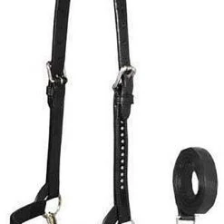 Derby Originals Premium Show Spotted Flat Leather Cattle Show Halter & Chain Lead