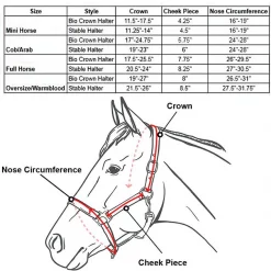 Derby Originals Rose Gold Stable & Breakaway Reflective Safety Horse Halter & Lead -Deals API || Fluker's  Store 241009 PT3. SY630 V1598544671