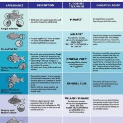 Activ-Betta||API Activ-Betta Bio-Activ Live Aqueous Solution Betta Water + API Bettafix Antibacterial & Antifungal Betta Fish Infection Remedy -Deals API || Fluker's  Store 301692 PT5. SY630 V1622658752