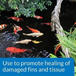 API Pond Melafix for Bacterial Infections in Fish + Pond Algaefix Algae Control Solution -Deals API || Fluker's  Store 301780 PT3. SY630 V1622654254