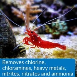 API Aqua Essential Aquarium Treatment -Deals API || Fluker's  Store 322744 PT3. SY630 V1633993888