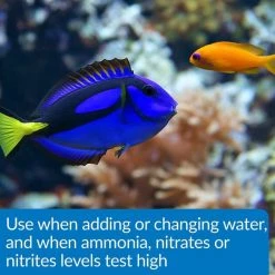 API Aqua Essential Aquarium Treatment -Deals API || Fluker's  Store 322744 PT5. SY630 V1633990587