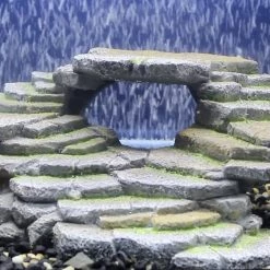 Symtom||Fluker's||Penn Plax Reptile Starter Kit - Symton Reptile Enclosure, 120-gal + 2 other items -Deals API || Fluker's  Store 538942 PT6. SY630 V1652642492