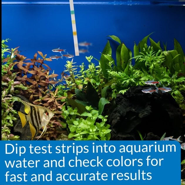 API 5 in 1 Freshwater & Saltwater Aquarium Test Strips 7 API 5 in 1 Freshwater & Saltwater Aquarium Test Strips - Image 7