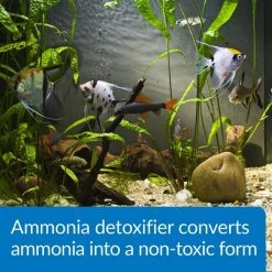 API Ammo-Lock Freshwater & Saltwater Aquarium Ammonia Detoxifier -Deals API || Fluker's  Store 94261 PT3. SY630 V1630099294