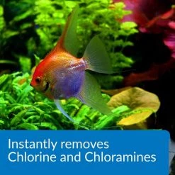 API Ammo-Lock Freshwater & Saltwater Aquarium Ammonia Detoxifier -Deals API || Fluker's  Store 94261 PT4. SY630 V1630098128