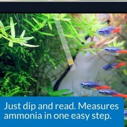 API Ammonia NH3/NH4 Freshwater & Saltwater Aquarium Test Strips -Deals API || Fluker's  Store 94269 PT3. SY630 V1570548770