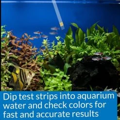 API Ammonia NH3/NH4 Freshwater & Saltwater Aquarium Test Strips -Deals API || Fluker's  Store 94269 PT5. SY630 V1570548755
