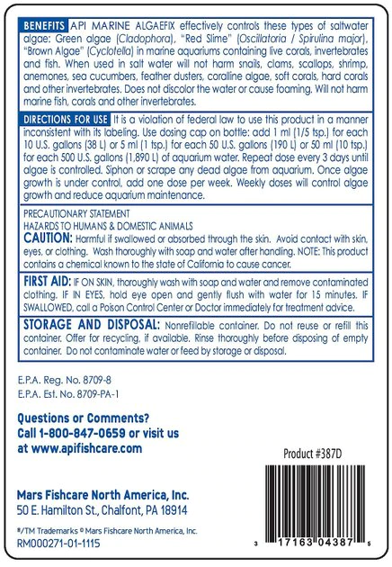 API Marine ALGAEFIX Algae Control 16-oz bottle 2 API Marine ALGAEFIX Algae Control 16-oz bottle - Image 2