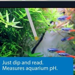 API pH Freshwater & Saltwater Aquarium Test Strips -Deals API || Fluker's  Store 94301 PT4. SY630 V1570549320