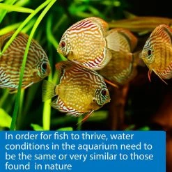 API pH Freshwater & Saltwater Aquarium Test Strips -Deals API || Fluker's  Store 94301 PT7. SY630 V1570549347