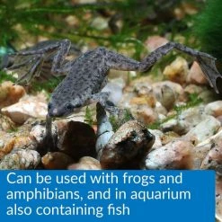 API Turtle Sludge Destroyer Aquarium Cleaner 12 API Turtle Sludge Destroyer Aquarium Cleaner -Deals API || Fluker's Store 94308 PT5. SY630 V1632372847