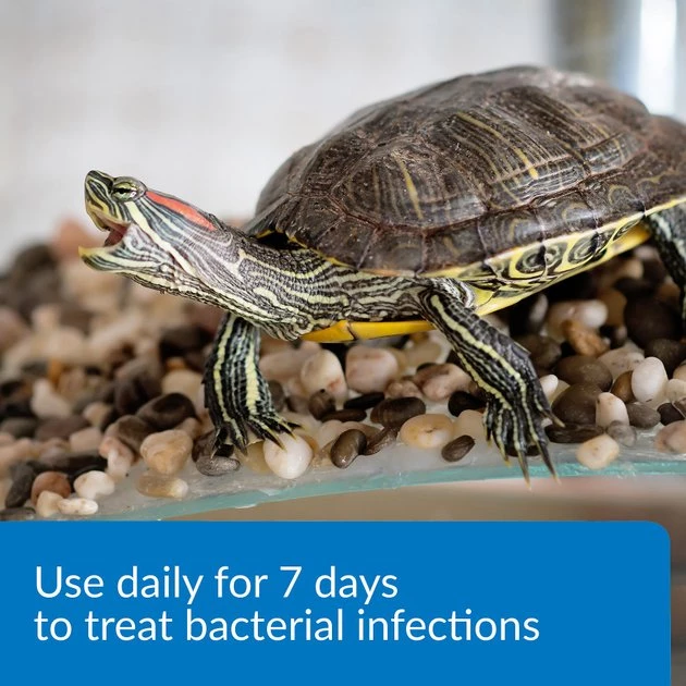 API Turtle Fix Antibacterial Treatment 3 API Turtle Fix Antibacterial Treatment - Image 3
