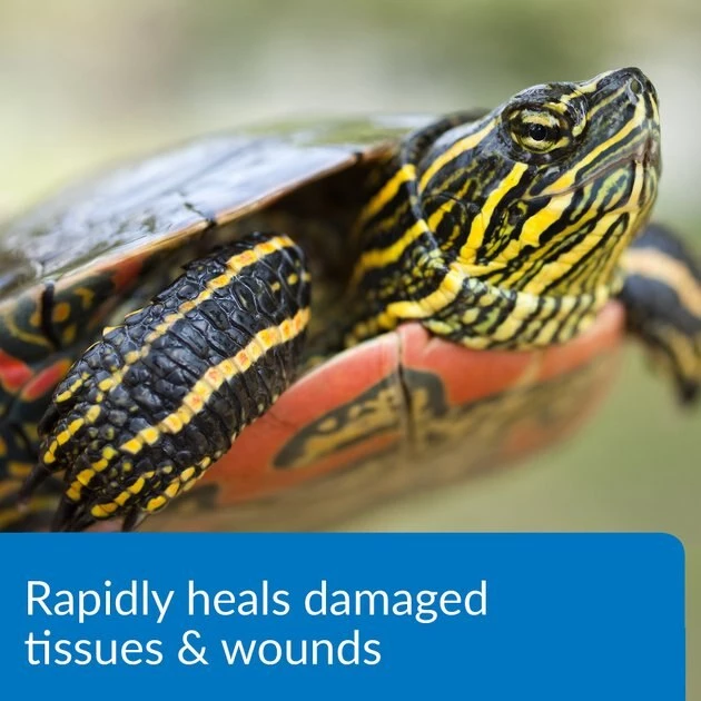 API Turtle Fix Antibacterial Treatment 4 API Turtle Fix Antibacterial Treatment - Image 4