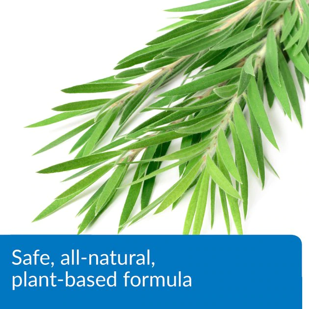 API Turtle Fix Antibacterial Treatment 5 API Turtle Fix Antibacterial Treatment - Image 5