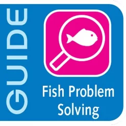 API Bettafix Antibacterial & Antifungal Betta Fish Infection Remedy -Deals API || Fluker's  Store 94326 PT6. SY630 V1570549382