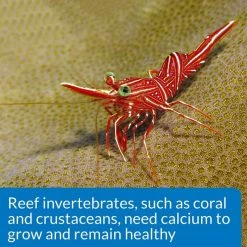 API Calcium Saltwater Aquarium Test Kit -Deals API || Fluker's  Store 94360 PT7. SY630 V1570549354