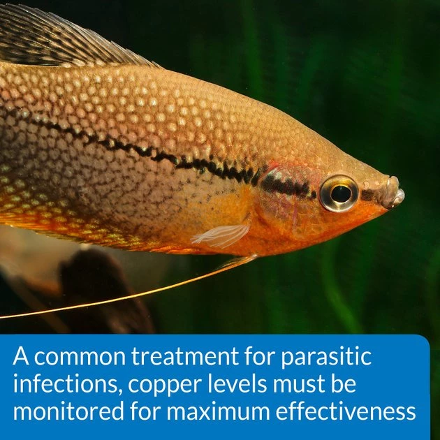 API Copper Cu+ Freshwater & Saltwater Aquarium Test Kit 6 API Copper Cu+ Freshwater & Saltwater Aquarium Test Kit - Image 6