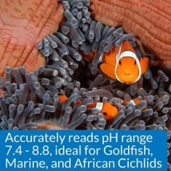 API High Range pH Fresh & Salt Water Aquarium Test Kit -Deals API || Fluker's  Store 94367 PT6. SY630 V1570549667