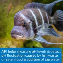 API High Range pH Fresh & Salt Water Aquarium Test Kit -Deals API || Fluker's  Store 94367 PT7. SY630 V1570549682