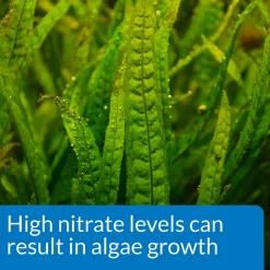 API Nitrate NO3 Freshwater & Saltwater Aquarium Test Kit -Deals API || Fluker's  Store 94369 PT6. SY630 V1570549669