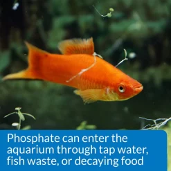 API Phosphate PO4 Freshwater & Saltwater Aquarium Test Kit -Deals API || Fluker's  Store 94371 PT6. SY630 V1570549705