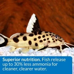 API Sinking Shrimp Pellets Bottom Feeder Fish Food -Deals API || Fluker's  Store 94373 PT4. SY630 V1570549700