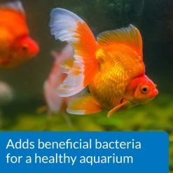 API Goldfish Protect Aquarium Water Conditioner -Deals API || Fluker's  Store 94378 PT6. SY630 V1570549925
