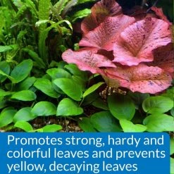 API Leaf Zone Freshwater Aquarium Plant Fertilizer -Deals API || Fluker's  Store 94382 PT3. SY630 V1630736229