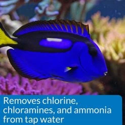 API Marine Stress Coat Saltwater Aquarium Water Conditioner 10 API Marine Stress Coat Saltwater Aquarium Water Conditioner -Deals API || Fluker's Store 94398 PT4. SY630 V1570549972