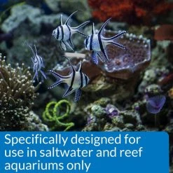 API Marine Stress Coat Saltwater Aquarium Water Conditioner 12 API Marine Stress Coat Saltwater Aquarium Water Conditioner -Deals API || Fluker's Store 94398 PT6. SY630 V1570549974