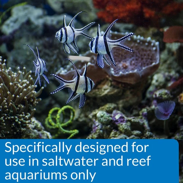 API Marine Stress Coat Saltwater Aquarium Water Conditioner 6 API Marine Stress Coat Saltwater Aquarium Water Conditioner - Image 6