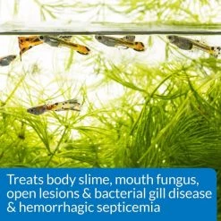 API E.M. Erythromycin Freshwater Fish Bacterial Disease Medication -Deals API || Fluker's  Store 94400 PT5. SY630 V1570549994