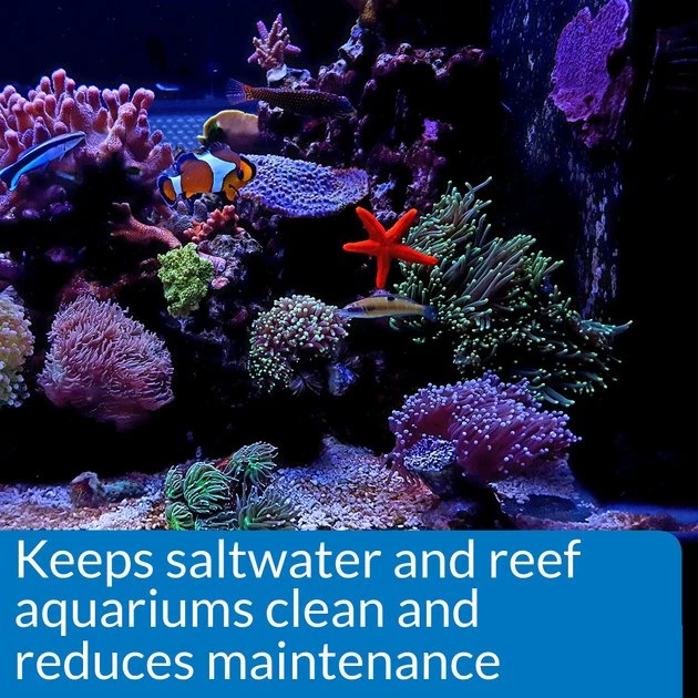 API Marine Stress Zyme Saltwater Aquarium Cleaning Solution 4 API Marine Stress Zyme Saltwater Aquarium Cleaning Solution - Image 4
