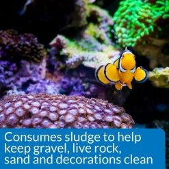 API Marine Stress Zyme Saltwater Aquarium Cleaning Solution 11 API Marine Stress Zyme Saltwater Aquarium Cleaning Solution -Deals API || Fluker's Store 94403 PT5. SY630 V1570549996