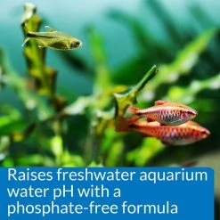 API pH Up Freshwater Aquarium Water Treatment -Deals API || Fluker's  Store 94419 PT4. SY630 V1570550659