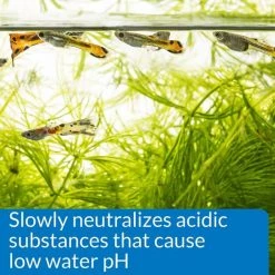 API pH Up Freshwater Aquarium Water Treatment -Deals API || Fluker's  Store 94419 PT5. SY630 V1570550678
