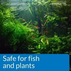 API pH Up Freshwater Aquarium Water Treatment -Deals API || Fluker's  Store 94419 PT6. SY630 V1570550624