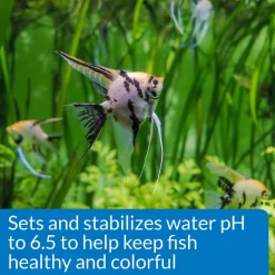 API Proper pH 6.5 Aquarium Water Treatment -Deals API || Fluker's  Store 94434 PT3. SY630 V1570550630
