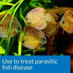API General Cure Freshwater & Saltwater Aquarium Parasitic Fish Disease Treatment 11 API General Cure Freshwater & Saltwater Aquarium Parasitic Fish Disease Treatment -Deals API || Fluker's Store 94458 PT4. SY630 V1570550936