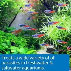 API General Cure Freshwater & Saltwater Aquarium Parasitic Fish Disease Treatment 12 API General Cure Freshwater & Saltwater Aquarium Parasitic Fish Disease Treatment -Deals API || Fluker's Store 94458 PT5. SY630 V1570550938