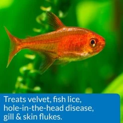 API General Cure Freshwater & Saltwater Aquarium Parasitic Fish Disease Treatment 13 API General Cure Freshwater & Saltwater Aquarium Parasitic Fish Disease Treatment -Deals API || Fluker's Store 94458 PT6. SY630 V1570550940