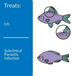 API Liquid Super Ick Cure Freshwater Aquarium Fish Medication 10 API Liquid Super Ick Cure Freshwater Aquarium Fish Medication -Deals API || Fluker's Store 94463 PT3. SY630 V1570551749