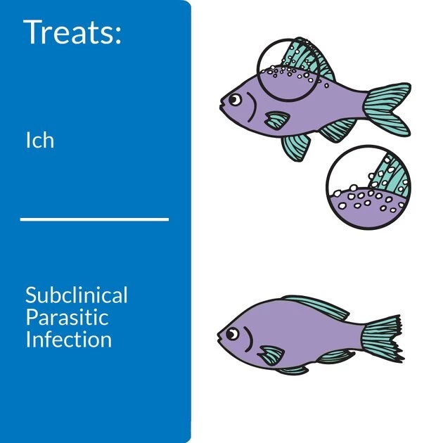 API Liquid Super Ick Cure Freshwater Aquarium Fish Medication 3 API Liquid Super Ick Cure Freshwater Aquarium Fish Medication - Image 3