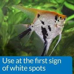 API Liquid Super Ick Cure Freshwater Aquarium Fish Medication 11 API Liquid Super Ick Cure Freshwater Aquarium Fish Medication -Deals API || Fluker's Store 94463 PT4. SY630 V1570551811