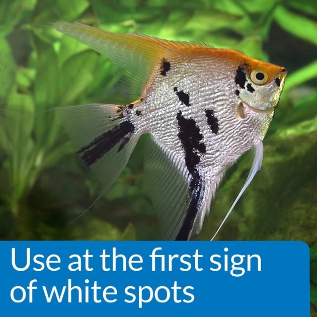 API Liquid Super Ick Cure Freshwater Aquarium Fish Medication 4 API Liquid Super Ick Cure Freshwater Aquarium Fish Medication - Image 4