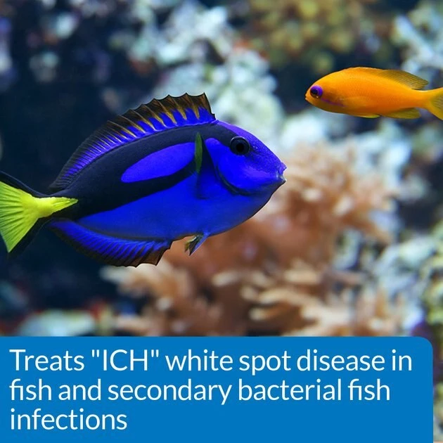 API Liquid Super Ick Cure Freshwater Aquarium Fish Medication 5 API Liquid Super Ick Cure Freshwater Aquarium Fish Medication - Image 5