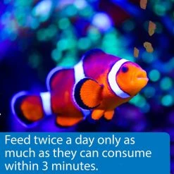 API Marine Optimal Protein Flakes Fish Food -Deals API || Fluker's  Store 94470 PT4. SY630 V1570551797