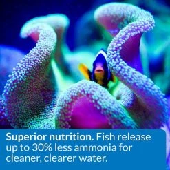 API Marine Optimal Protein Flakes Fish Food -Deals API || Fluker's  Store 94470 PT5. SY630 V1570551741